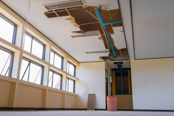 Best Carpet water damage restoration  in Roosevelt Gardens, FL