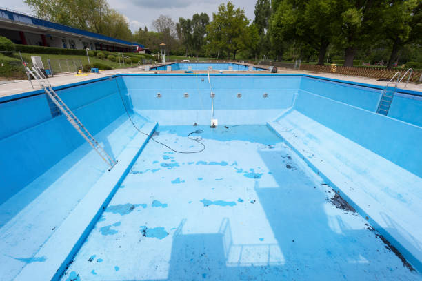 Best Flood restoration services  in Roosevelt Gardens, FL