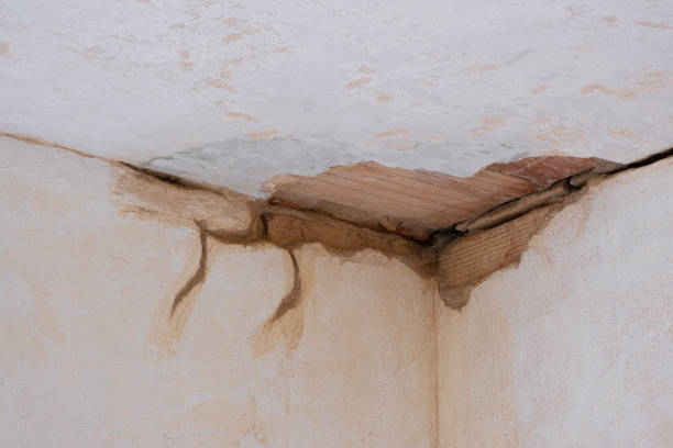 Best Water damage restoration near me  in Roosevelt Gardens, FL