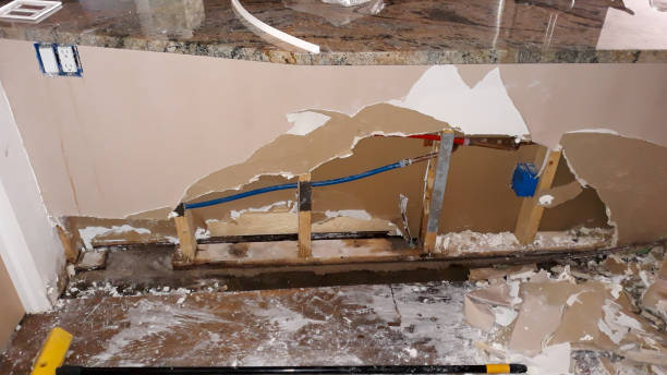 Best Local water damage restoration  in Roosevelt Gardens, FL