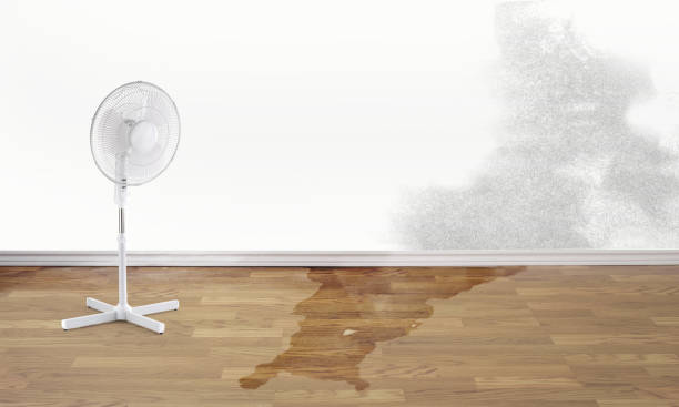 Best Flood restoration services  in Roosevelt Gardens, FL