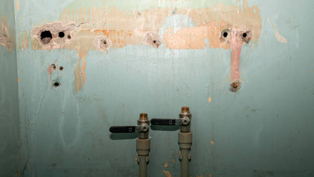 Best Sewage cleanup and water damage restoration  in Roosevelt Gardens, FL