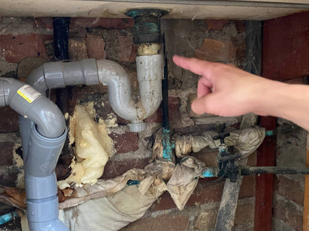 Best Water damage restoration insurance claims  in Roosevelt Gardens, FL