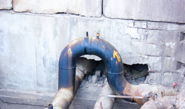 Best Carpet water damage restoration  in Roosevelt Gardens, FL